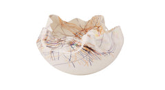 Cambrian Bowl - Orange And Blue