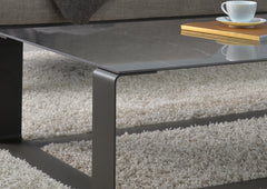 Fusion coffee table