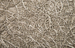 String Theory Pedestal