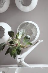 Burled Vase