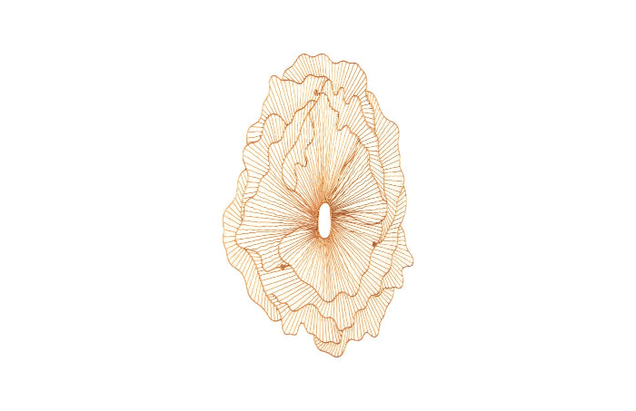 Poppy Flower Wall Art
