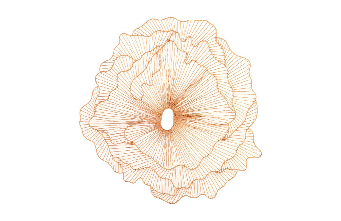 Poppy Flower Wall Art